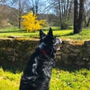 Lockdown in France 2020