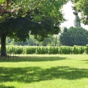 wine-tours-dogdogne Wine tours in the Dordogne