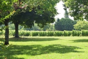 Wine tours in the Dordogne