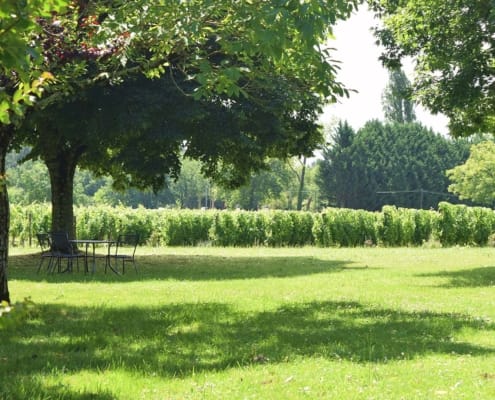 wine-tours-dogdogne Wine tours in the Dordogne