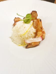 Prawns Succulent prawns on a white dish