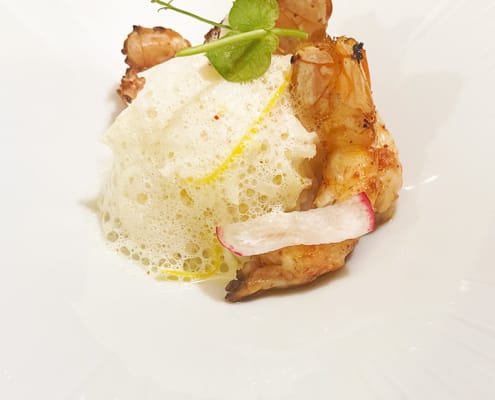 Prawns Succulent prawns on a white dish