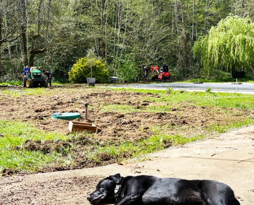 Removing the boulders Removing the boulders from the ground