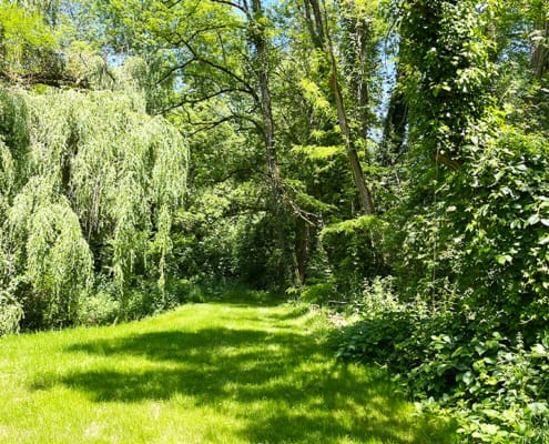 Fontalbe garden Beautiful green garden at the Dordogne gite