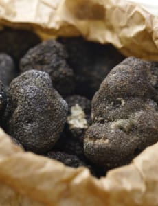 Truffles collected Collected truffles in a paper bag