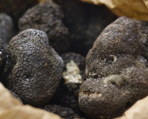 Truffles collected Collected truffles in a paper bag