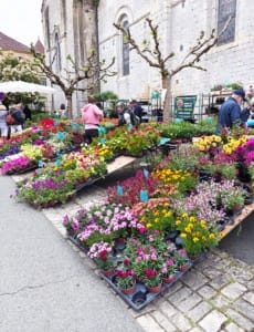 Beautiful flower market stalls in Cadouin, France