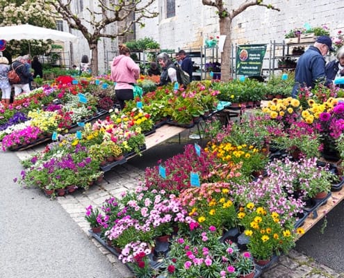 Beautiful flower market Beautiful flower market stalls in Cadouin, France