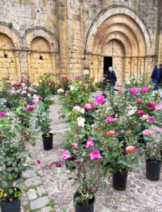 Flowers for sale outside the church in Cadouin