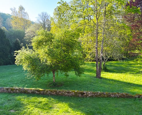 Gite garden Luxury gite grounds