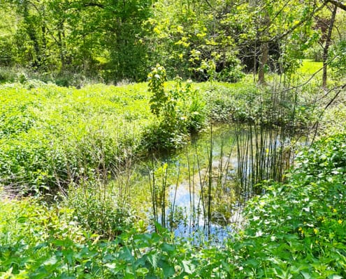 Gite mill pond The gite mill pond