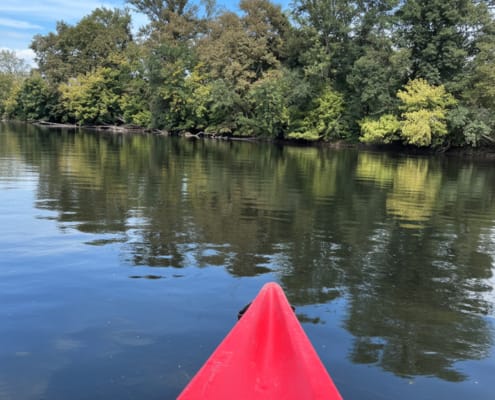 Dordogne river bank Dordogne river bank by canoe